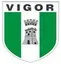 Vigor Lamezia