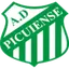 Picuiense